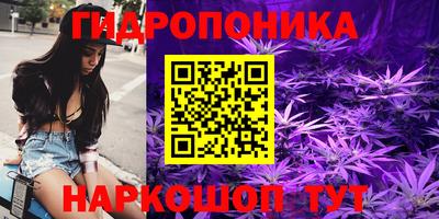 ПСИЛОЦИБИНОВЫЕ ГРИБЫ Краснодар